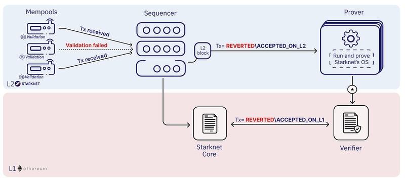 Starknet High-Throughput Access