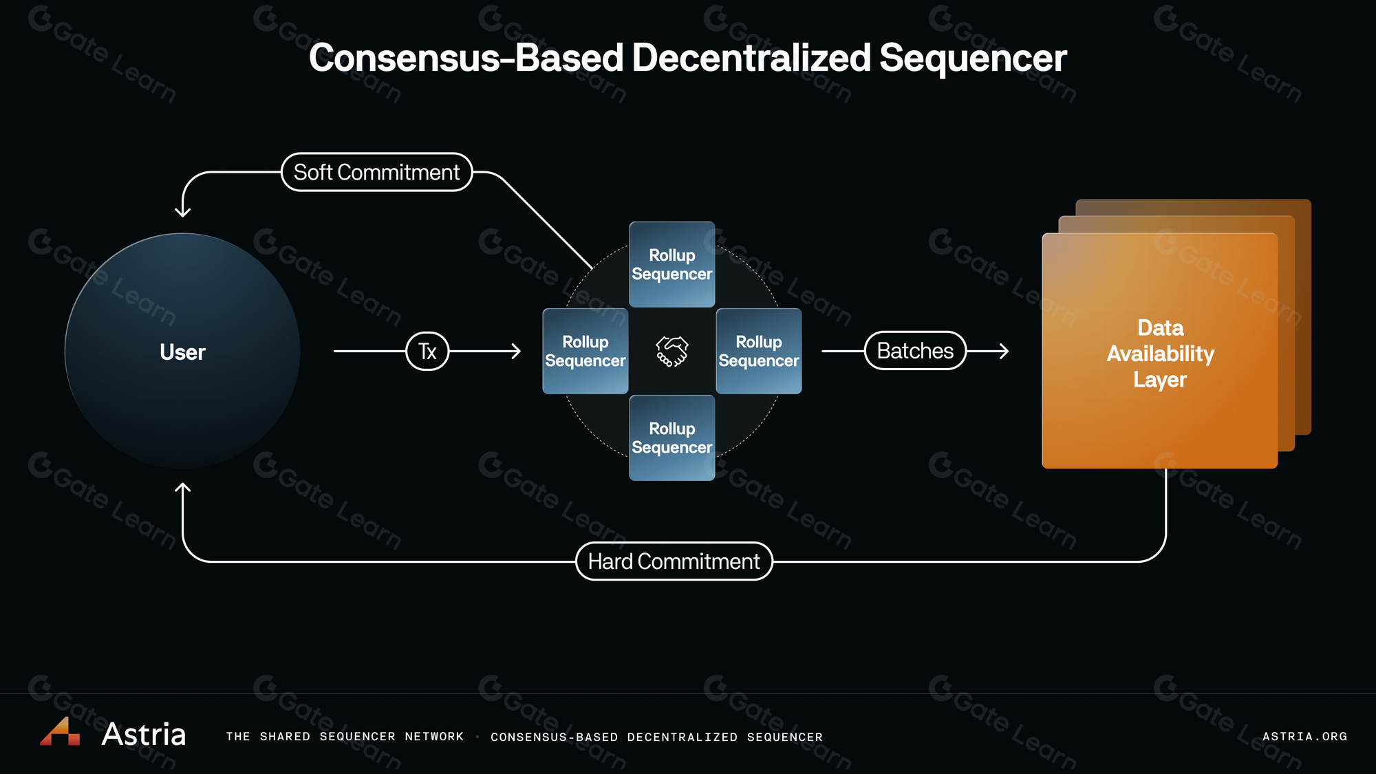 Schematic diagram comparing rollup vs standalone L1 blockchain architectures for application-specific blockchains